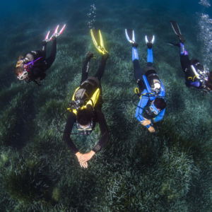 Grupo de buceadores flotando sobre pradera de posidonia en la reserva marina del Cavet, Cambrils.