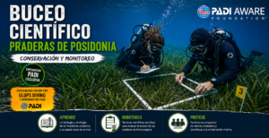 buceadores contando la posidonia